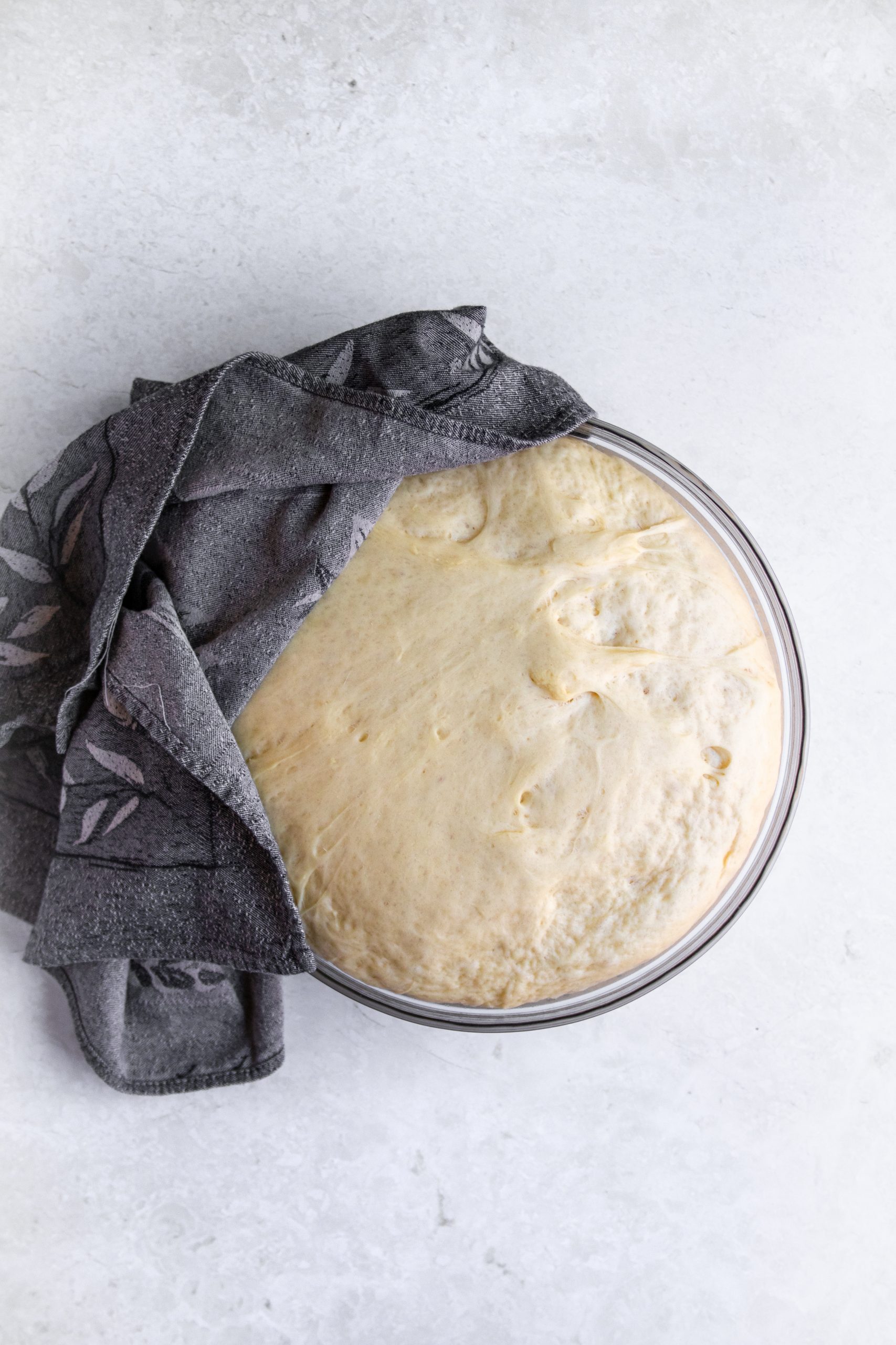 Proofed Cinnamon Roll Dough